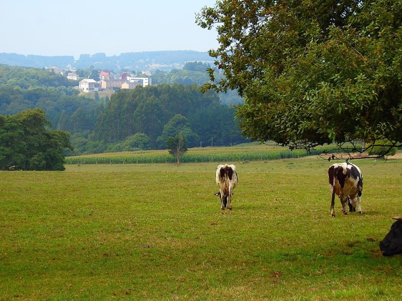 Imagen de Abadín - Ciudad con cartelera teatral