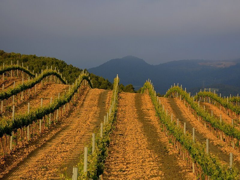 Imagen de Aiguamúrcia - Ciudad con cartelera teatral