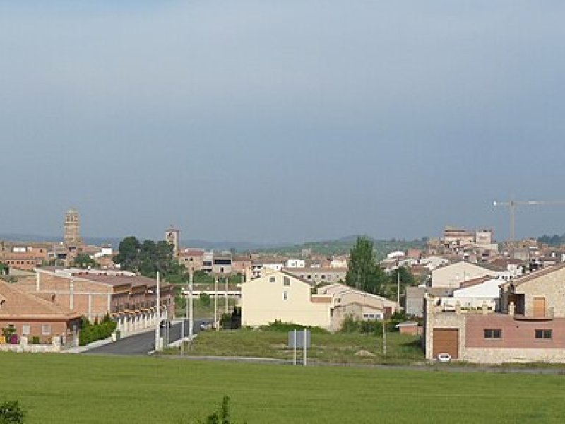 Albi, L'