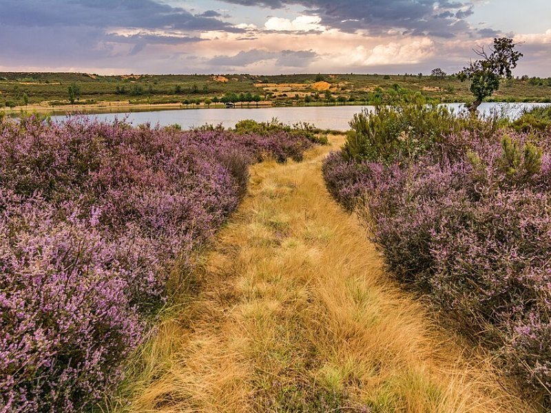 Imagen de Ayoó de Vidriales - Ciudad con cartelera teatral