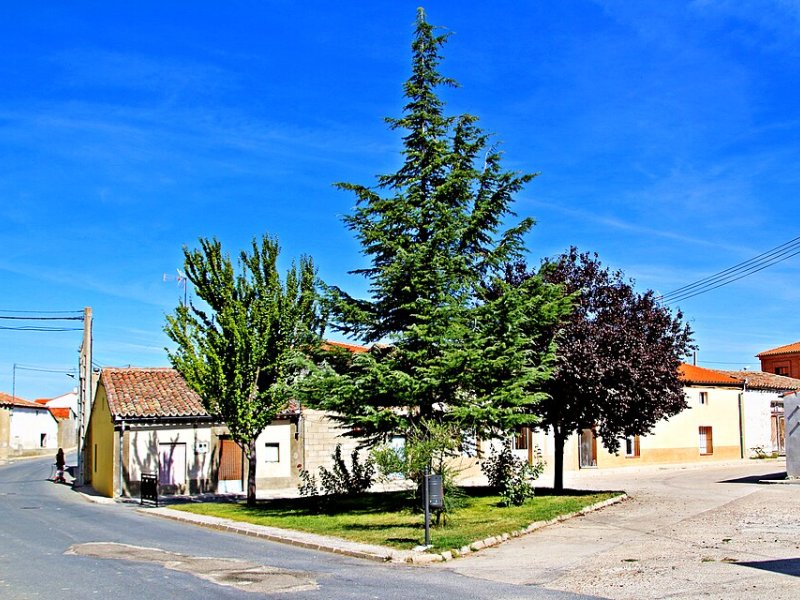 Bóveda del Río Almar