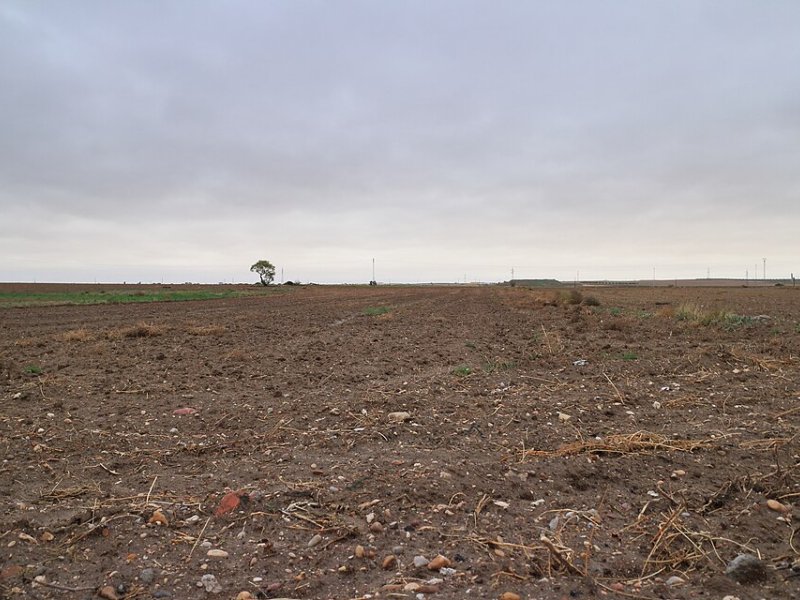 Cabañas de la Sagra