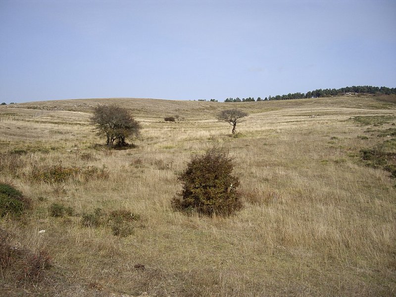 Campoo de Enmedio