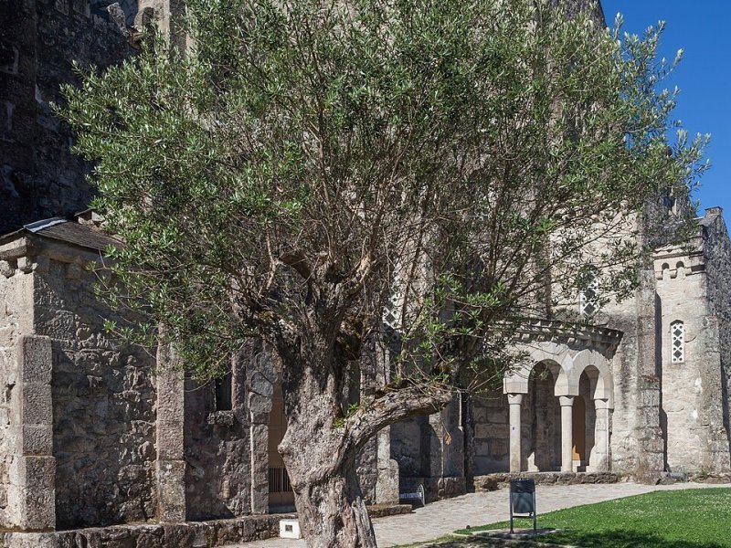 Imagen de Carballiño, O - Ciudad con cartelera teatral