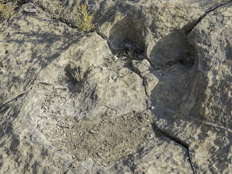 Imagen de Cervera del Río Alhama - Ciudad con cartelera teatral