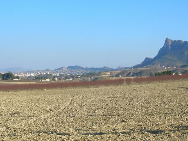 Imagen de Cieza - Ciudad con cartelera teatral