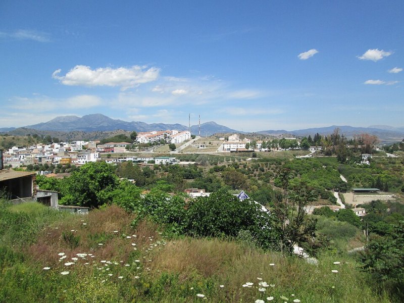 Coín