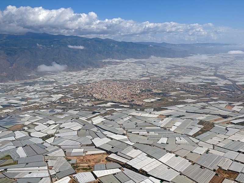 Imagen de Ejido, El - Ciudad con cartelera teatral