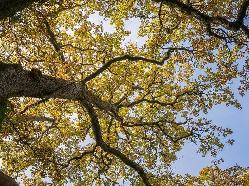 Imagen de Etxarri-Aranatz - Ciudad con cartelera teatral