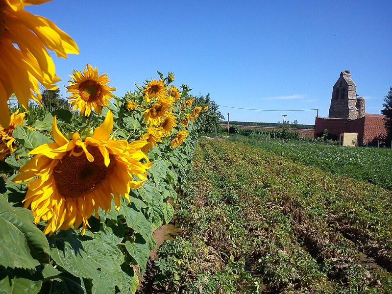 Fresno de la Polvorosa