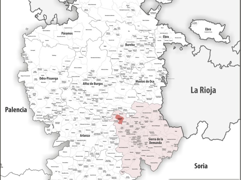 Jurisdicción de Lara