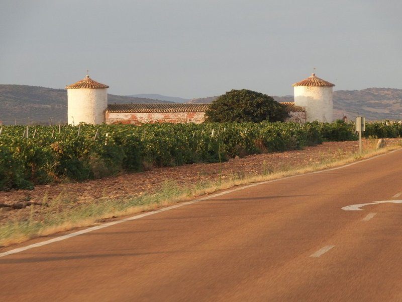 Pozuelo de Calatrava