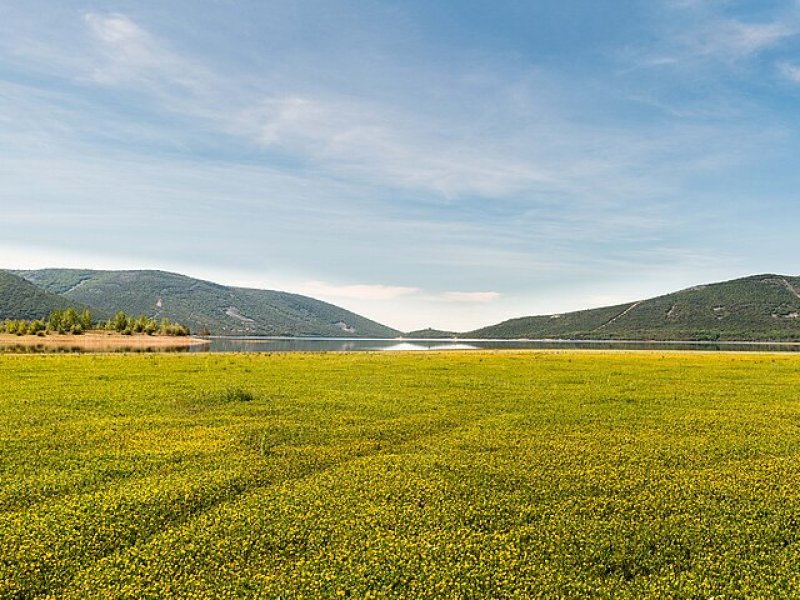 Retuerta del Bullaque