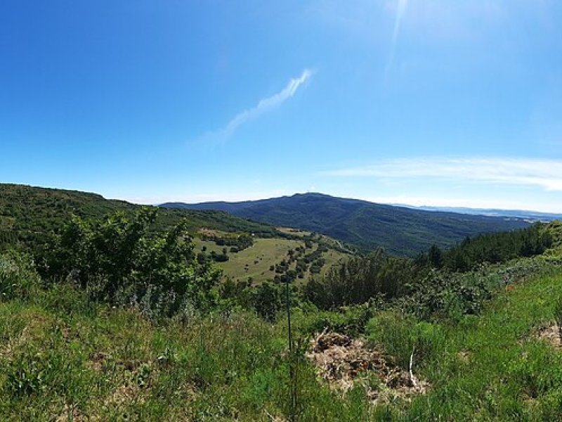 Salinas de Oro/Jaitz