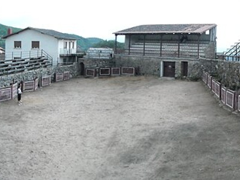 Imagen de San Martín del Castañar - Ciudad con cartelera teatral