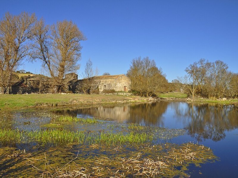 Imagen de San Pelayo de Guareña - Ciudad con cartelera teatral