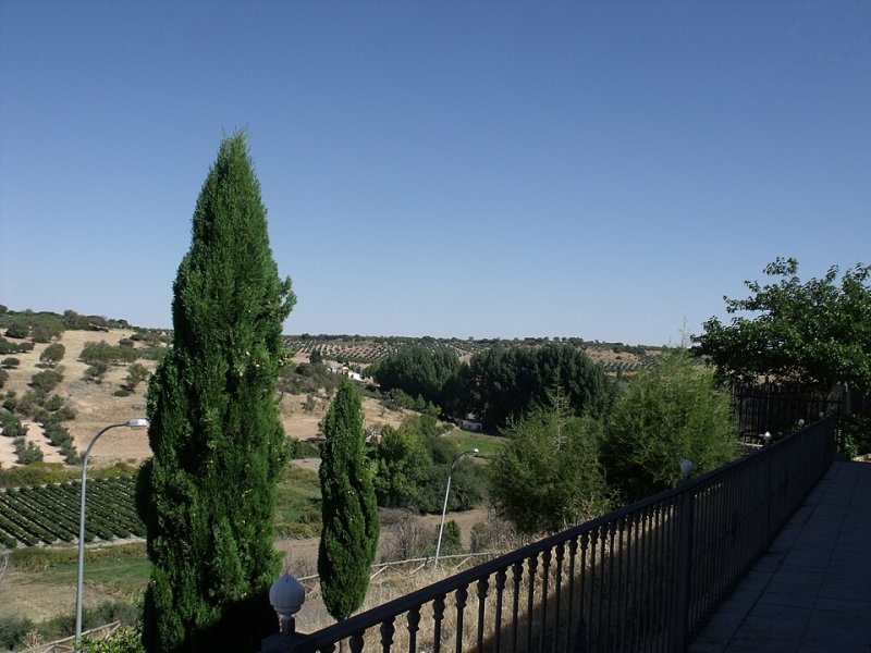 Santa Cruz de los Cáñamos