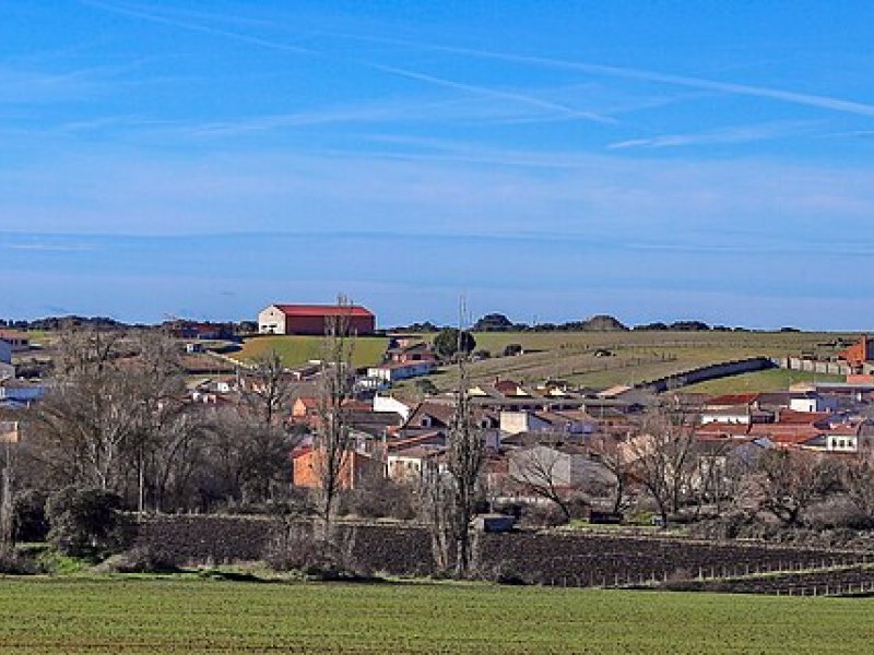 Imagen de Topas - Ciudad con cartelera teatral