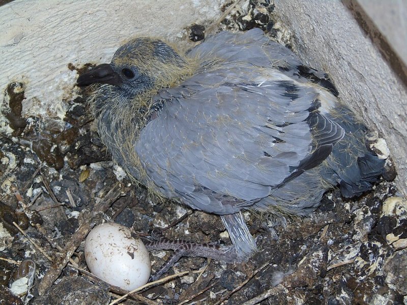 Valverde de la Virgen