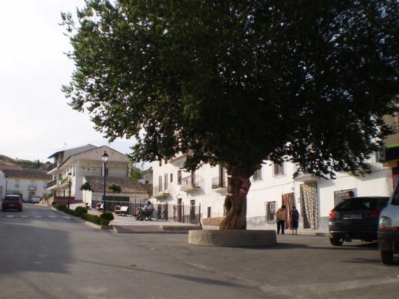 Villanueva de las Torres