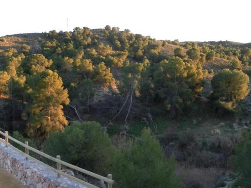 Imagen de Torres de Cotillas, Las - Ciudad con cartelera teatral