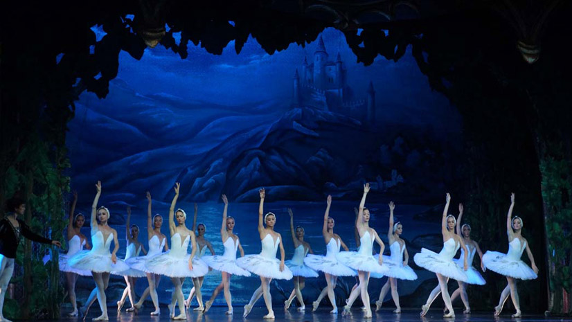 Concurso 'El Lago de los Cisnes'