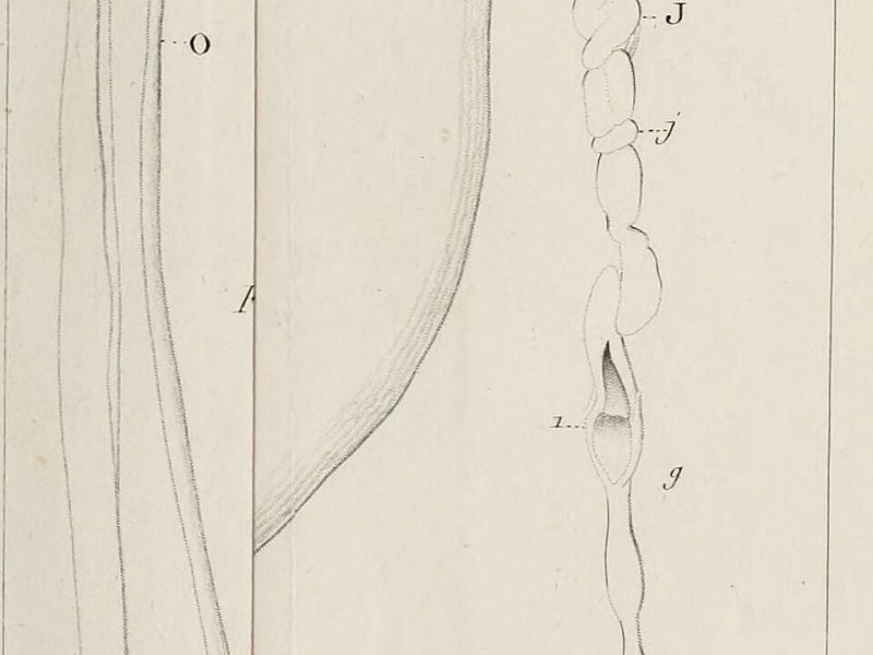 Imagen de Aeródromo de La Morgal - General en Llanera