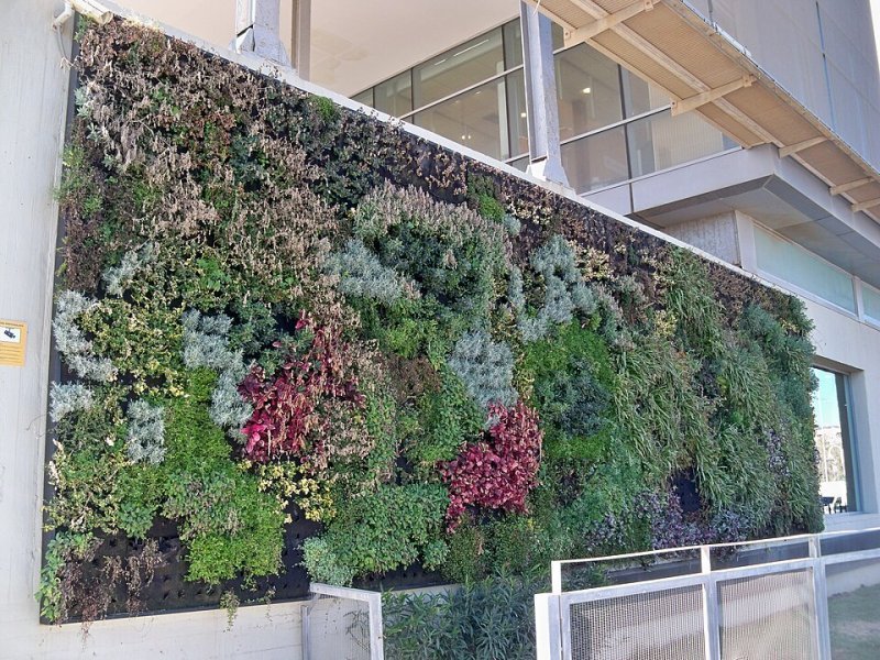 Imagen de Auditorio Edgar Neville - Auditorio en Málaga