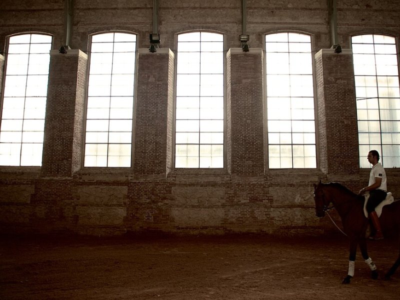 Imagen de CABALLERIZAS REALES DE CÓRDOBA - General en Córdoba
