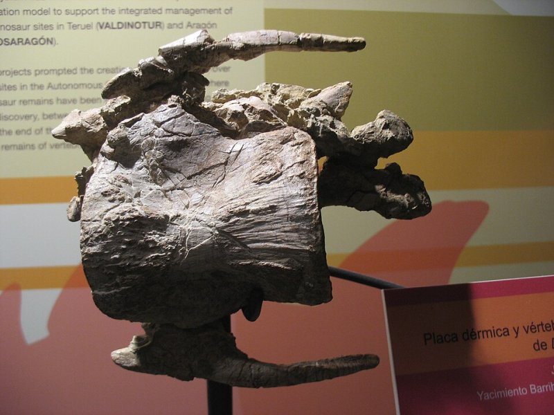 Imagen de Dinópolis - General en Teruel