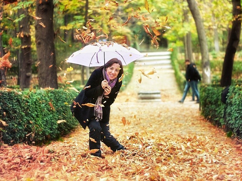 Imagen de Falling Leaves - General en Madrid