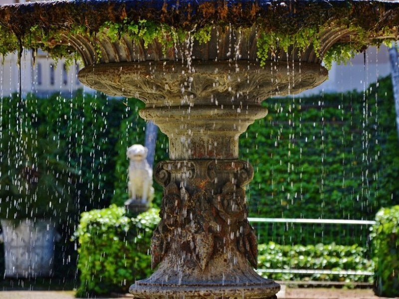 Imagen de PARC SAMÀ - General en Cambrils