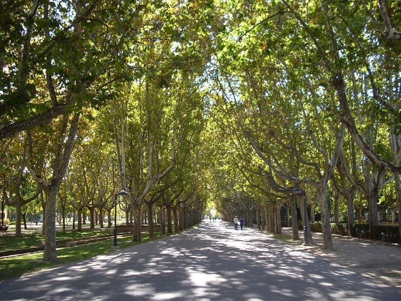 Imagen de Parque Grande José Antonio Labordeta - General en Zaragoza