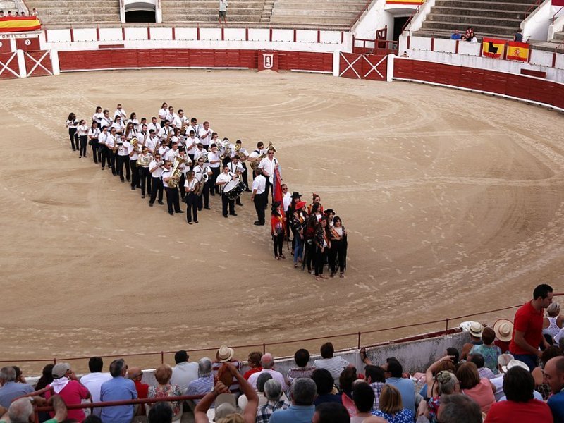Imagen de Plaza de Toros de Albacete - General en Albacete