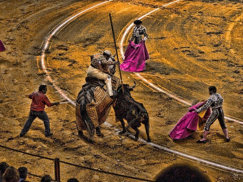 Imagen de Plaza de Toros de Atarfe - General en Granada