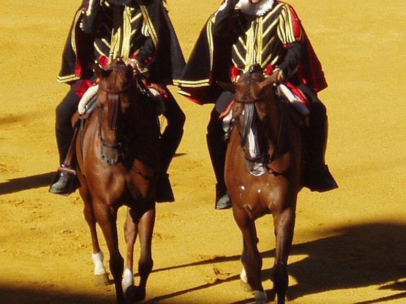 Imagen de Plaza de Toros de El Puerto de Santa María - General en Puerto de Santa María