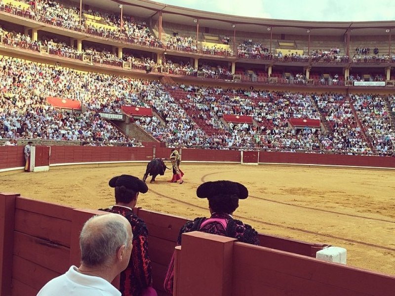 Imagen de Plaza de Toros de Úbeda - General en Úbeda