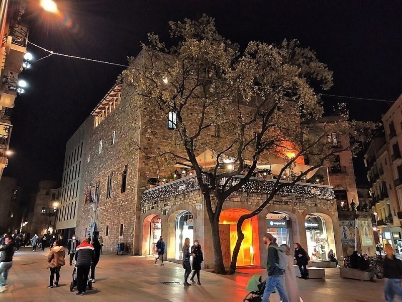 Imagen de Reial Cercle Artístic de Barcelona - General en Barcelona
