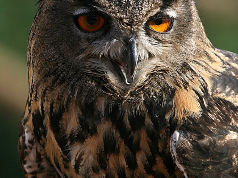 Imagen de Terra Natura Murcia - General en Murcia