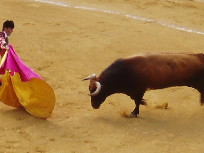 Vista principal del teatro Plaza de Toros de Estepona ubicado en Estepona. Espacio cultural para eventos y espectáculos