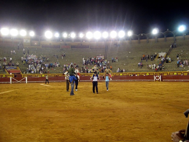 Vista principal del teatro Plaza de Toros de Las Palomas ubicado en Algeciras. Espacio cultural para eventos y espectáculos