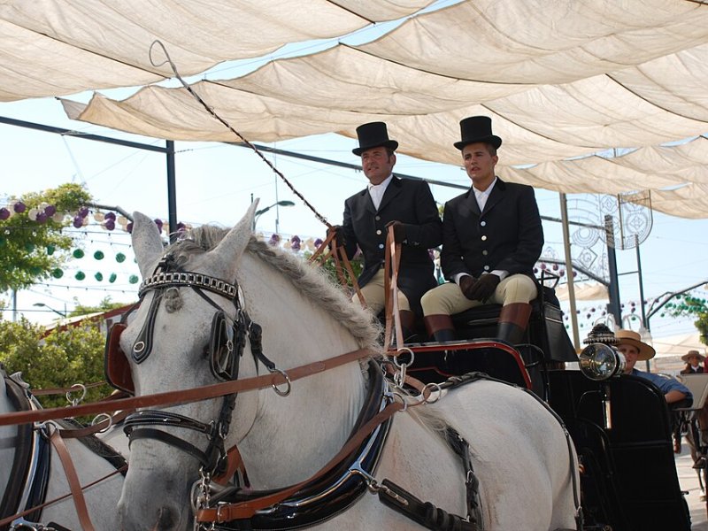 Vista principal del teatro Recinto Ferial de Málaga ubicado en Málaga. Espacio cultural para eventos y espectáculos