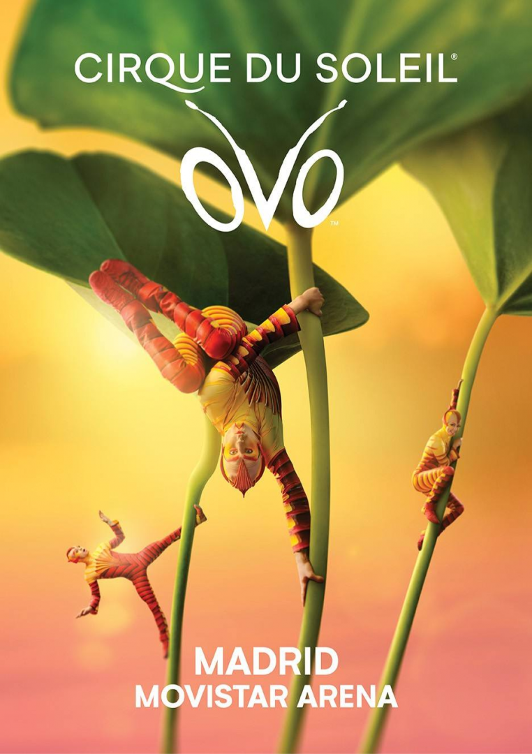 Ovo - Cirque Du Soleil