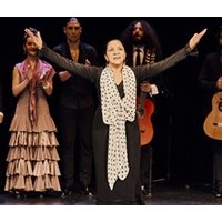 Viaje-Camino - Cía. de Danza Flamenca Carmen Cortés
