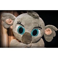 Bunji, la pequena Koala