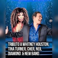 Tributo a Tina Turner, Whitney Houston y otros.