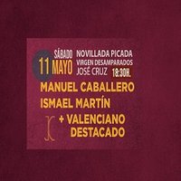 NOVILLADA CON PICADORES 11 DE MAYO 2024