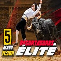 CONCURSO DE RECORTES 5 DE MAYO