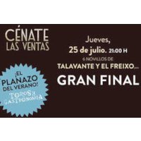NOVILLADA 25 DE JULIO 2024