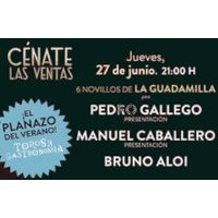 NOVILLADA 27 DE JUNIO 2024